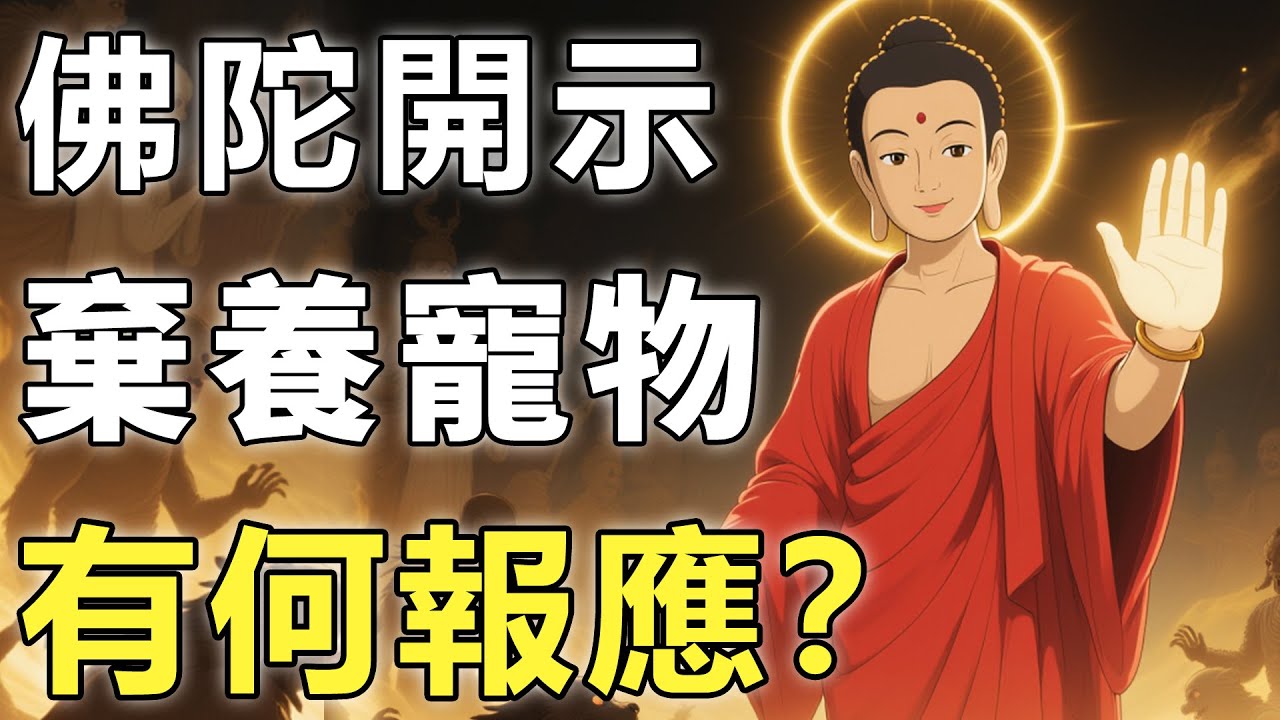 棄養寵物有何報應？佛陀僅用一句話，道出了六道輪回因果！【萌寵|因果|輪回】