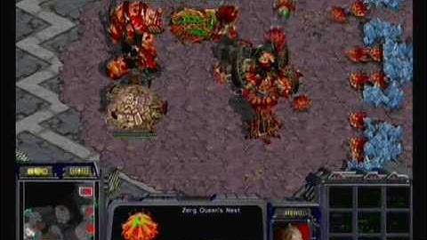 NATE MSL 09 Ro16 - Flash vs. ZerO Set 2 [2/2]