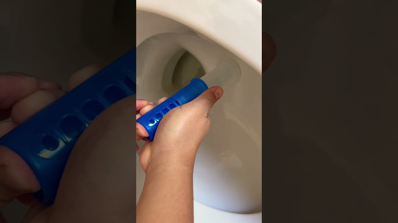 Review WC-ENTE Frische-Siegel Eukalyptus | 