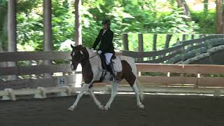 Mozart II & Susan Kirsten Rehfeld - Intro Level, Test C - ICC Summer Rated Show 2018