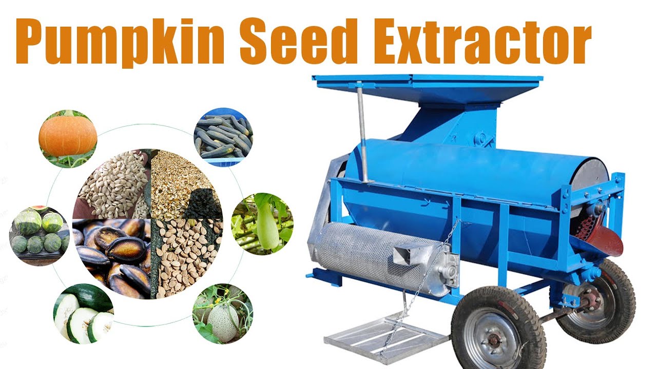 From Pumpkin to Seed: Watch Our Extractor in Action 