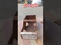 #scorpio 😈🖤🖤☠️🖤☠️😈