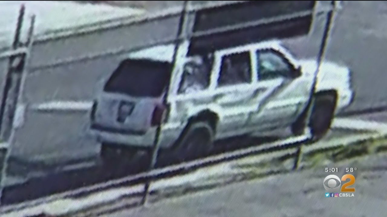 suspect-arrested-for-shooting-dog-to-death-on-la-mirada-street-youtube