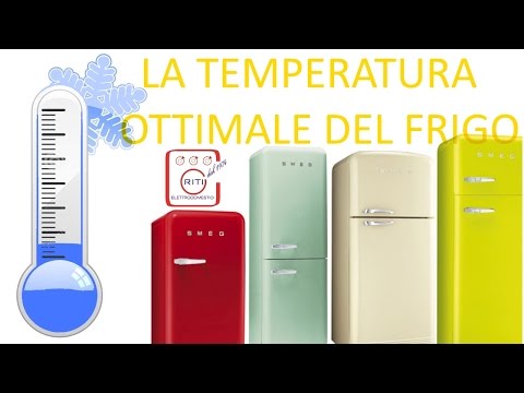 Video: Qual è la temperatura ottimale nel frigorifero?