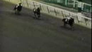 Seattle Slew War Dances To The 1977 Triple Crown