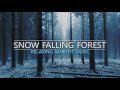 Snow Falling Forest Ambience ❄️ Music For Relaxation