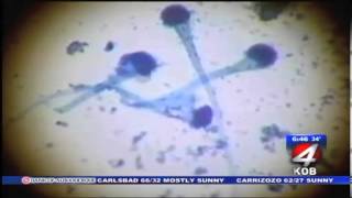 Newscast Morning NMBA KOB-TV screenshot 5