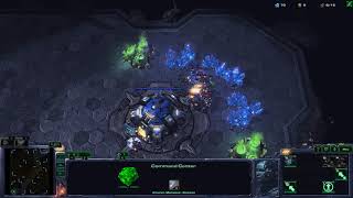 Worker Rush Fail or Succeed #9 A friendly Opponent
