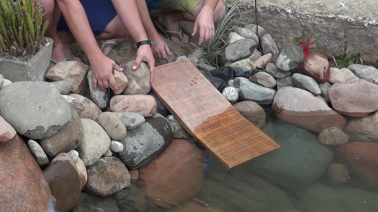 Rampa para Tartatugas em 10 MINUTOS 😱. RÁPIDO, FÁCIL E BARATO