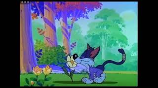 Furrball Gets Hit With A Piano The Family Friendly Version