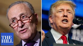 Schumer BLASTS Trump: 'He's rooting for our entire political system to fail!'