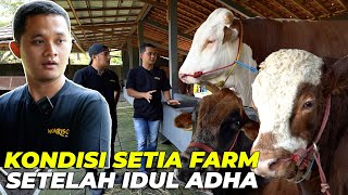 BEGINILAH KONDISI SETIA FARM SETELAH PASCA IDUL ADHA