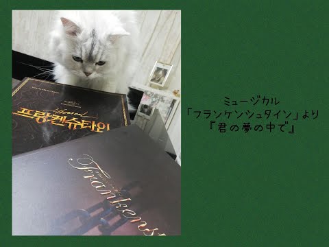 弾いてみた//ミュージカル「フランケンシュタイン」より『君の夢の中で』（프랑켄슈타인 “너의 꿈속에서" ）