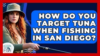 How Do You Target Tuna When Fishing In San Diego? - Chasing Big Fish