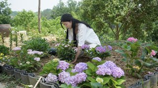 Fresh and tender bamboo shoots. It's a good time to pick them.｜鮮嫩爽口的竹笋。正是採摘的好時機