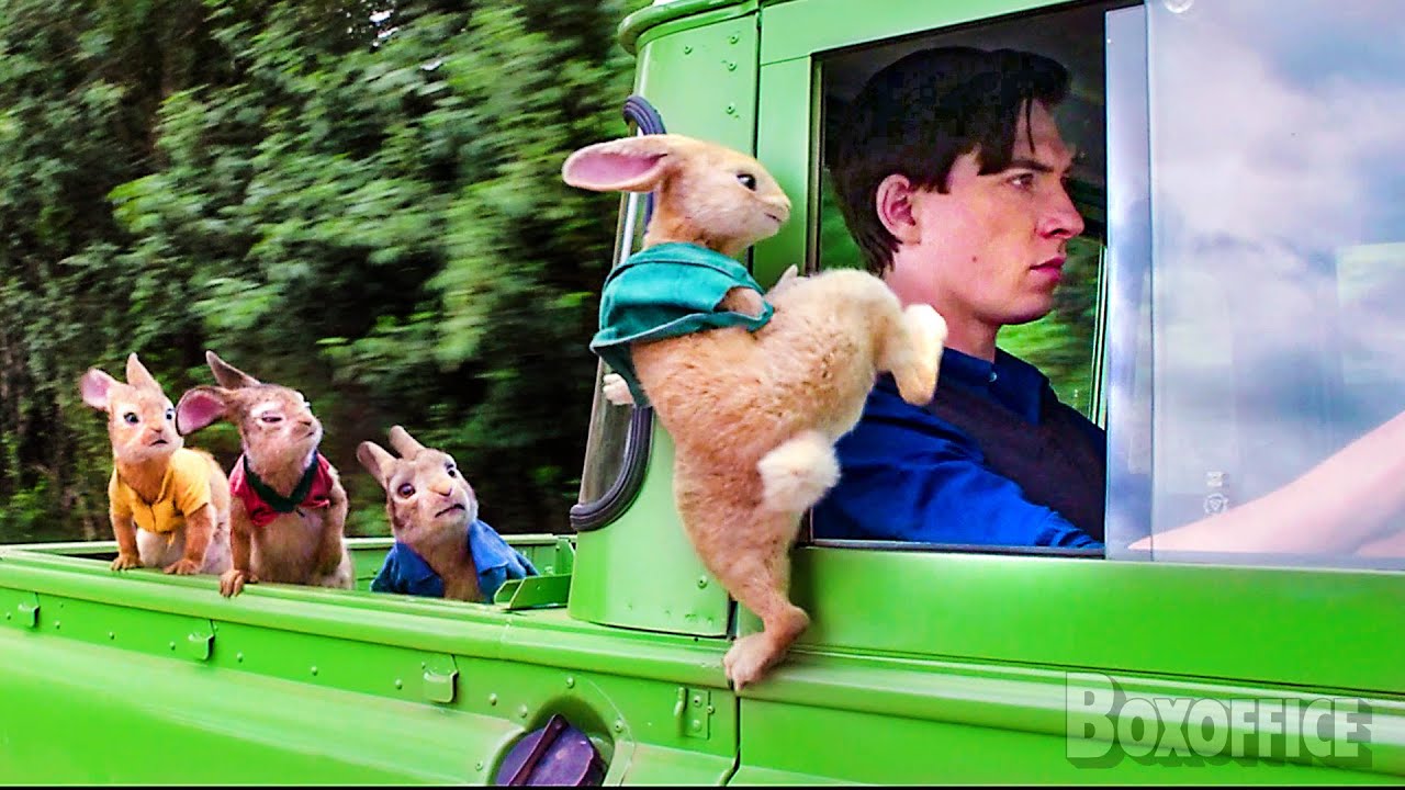Peter Rabbit's crazy plan to free his cousin from captivity 🔥 4K - YouTube