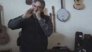 Harmonetta + harmonicas looping with a DigiTech JamMan