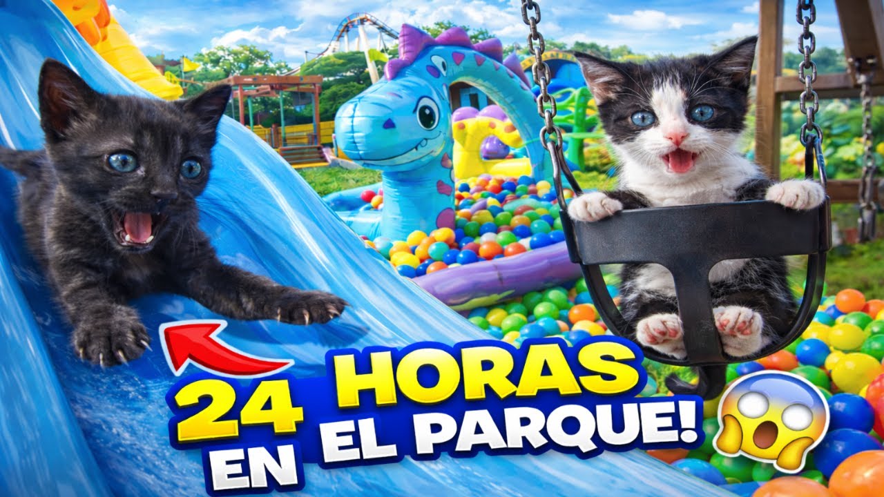 24 HORAS en PARQUES de DIVERSIONES con mis GATITOS BEBÉS Luna y Estrella | Funny cats
