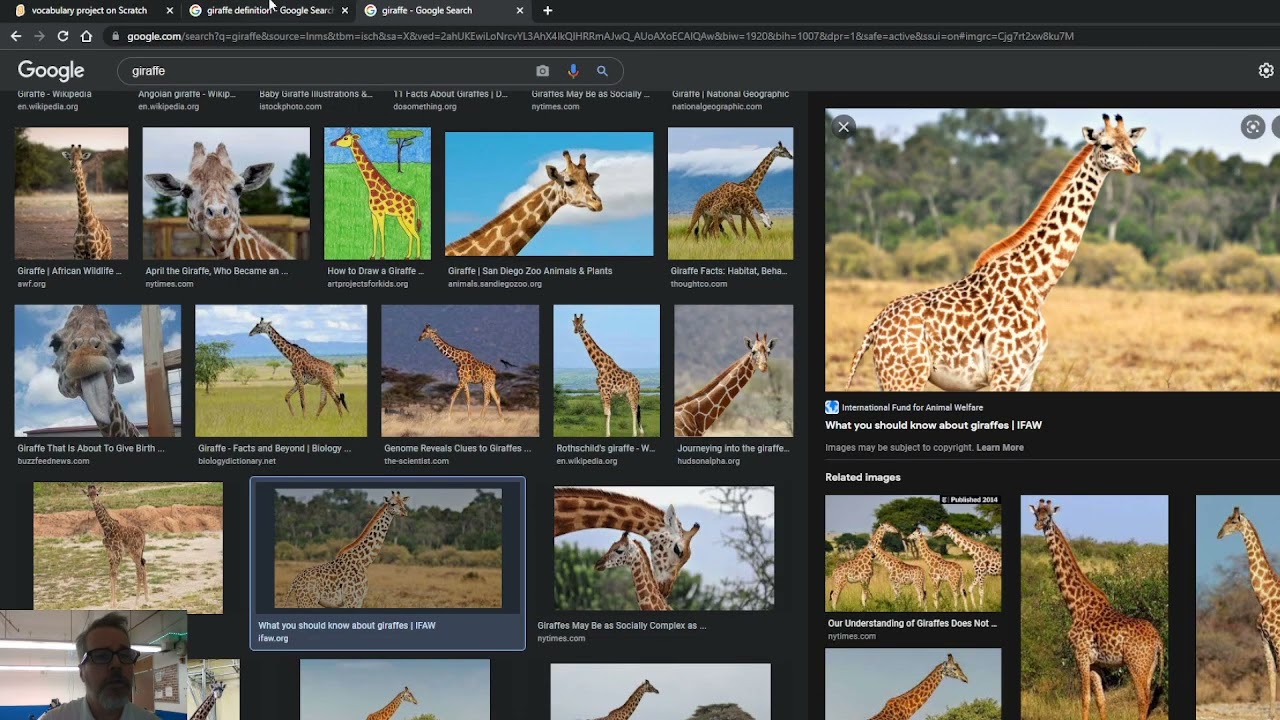 scratch vocabulary project