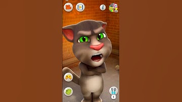 Talking tom cat 2 #shorts Gameplay 16