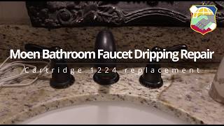 Moen Bathroom Faucet Dripping Repair Cartridge 1224 replacement 14272 removal tool