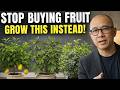 Top 10 Fruit Trees Perfect for Pots and Small Spaces