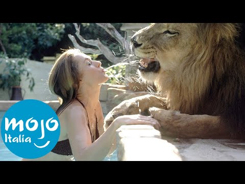 Video: Animali esotici popolari in tutto il mondo