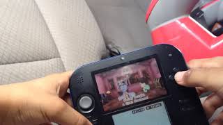 A normal day to play nintendo
