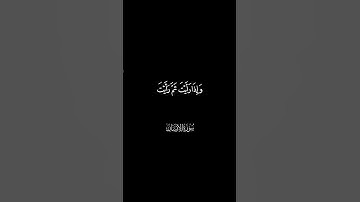 عيناً فيها تسمى سلسبيلا | تلاوة خاشعة جدا  #القارئ محمد اللحيدان