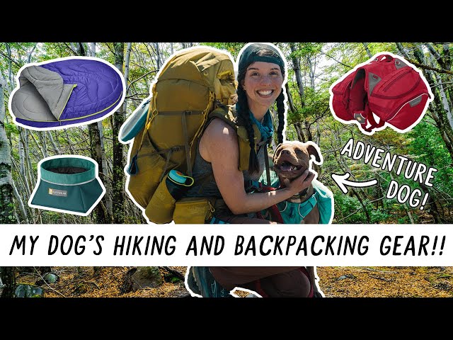 Wilderdog  Gear for Dogs on Adventures