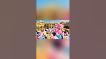 Capybara. Hùng trọc và Tí Béo chi 1000 tỉ mua gấu bông để troll Capy #capybara