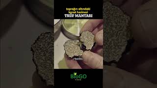 Toprağın Altındaki Lezzet Hazinesi Trüf Mantari