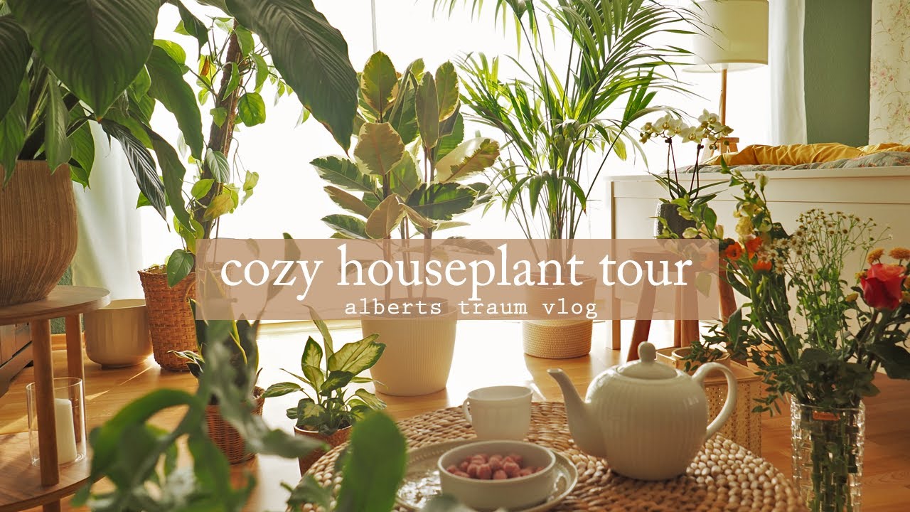 23 - Cozy days to prepare houseplants for spring I slow living ...