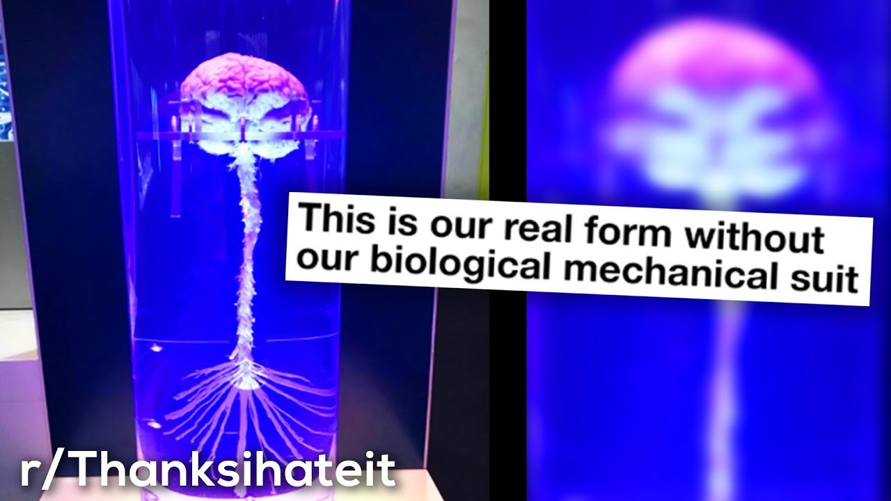 r/TIHI • thanks... I hate that - YouTube