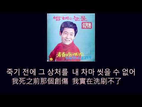 추억의 그림자(追憶的陰影)，青山「淚的小花」原曲