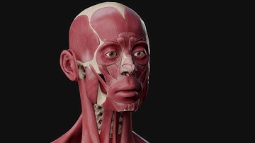 Computer Animation at Kingston University- Student Work from 2020