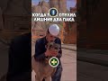 Стресс игры за хила