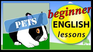 Pet animals in English | Beginner English Lessons for Children Pet animals in English | Beginner English Lessons for Children