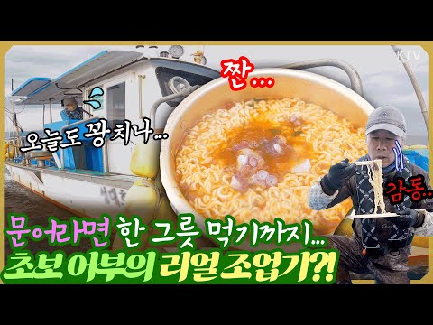 직접 잡은 <strong>문어라면</strong> 한 그릇 끓여 먹기까지 바다에서 마주한 충격적인 현실!😱 #강원도 #귀어  #부자