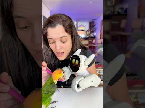 A KIKI comeu a ração da robô LOONA #shorts