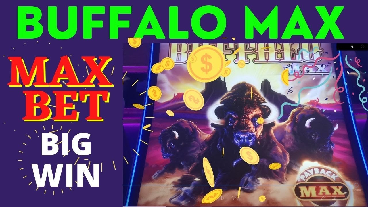 coffret cadeau casino forges les eaux BUFFALO MAX SLOT MACHINE BIG WIN FEATURE by Aristocrat buffalos free games feature best casino slots
