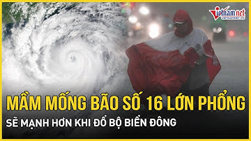 Mầm mống bão số 16 lớn phổng, sẽ mạnh hơn khi đổ bộ Biển Đông, Bắc Bộ gió rét liên tục tăng cường