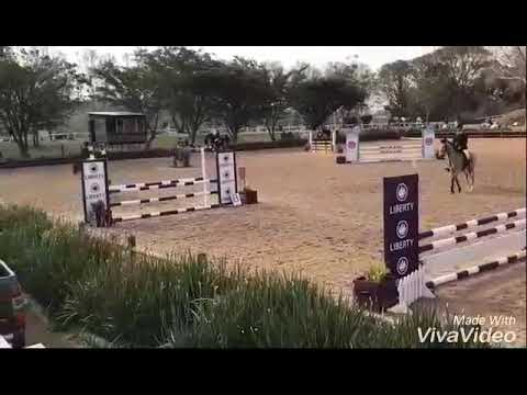 A-Trek we all fall down. Showjumping edit