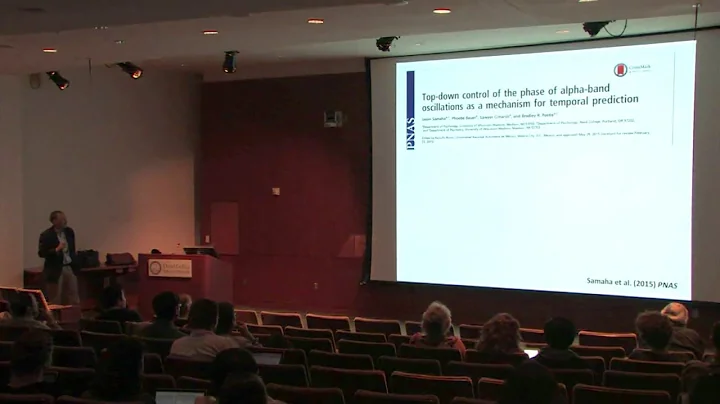 Brad Postle, Ph.D. : Cognitive Neuroscience of Visual Attention and Working Memory