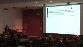 Brad Postle Phd  Cognitive Neuroscience Of Visual Attention And Working Memory