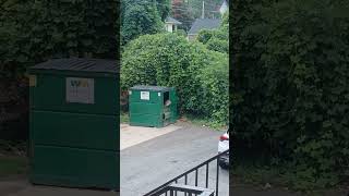 Ralph the Raccoon #therealgypsysoul #vlogger #winstonsalem #raccoons