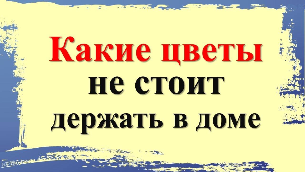 Какие цветы не стоит держать в доме
