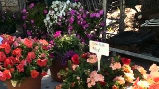 Rated best in Central Florida- Winter Parke Farmers Market