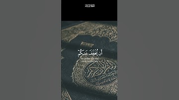 سورة النساء #ياسرالدوسري #كرومات #شاشةسوداء