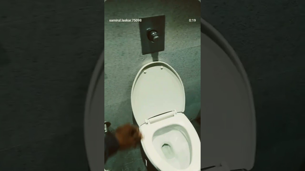 plumber  local cheap ....